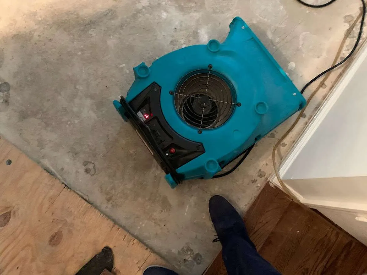 Air mover drying subfloor during Leak Detection & Repair in Cape St. Claire